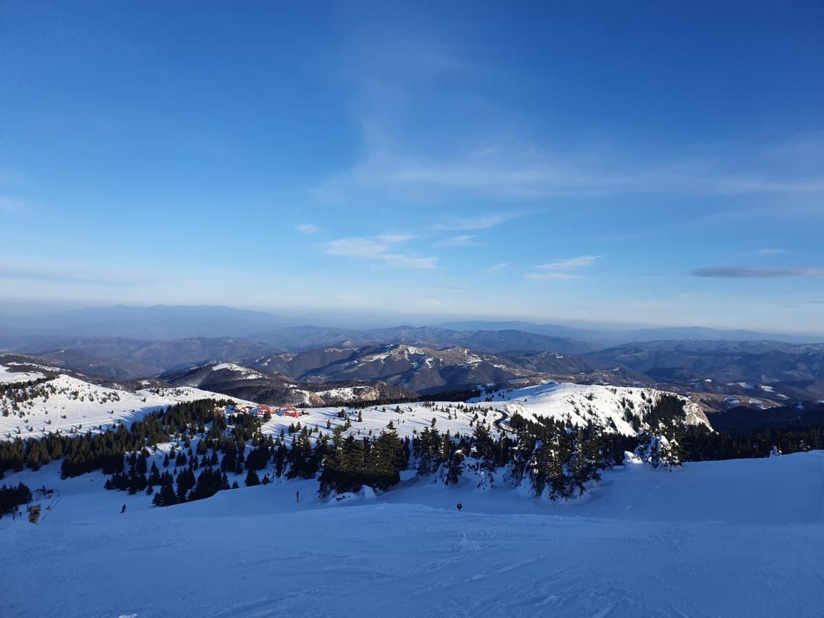Planinsko Jutro - Brzece Centar Apartments, Kopaonik Dış mekan fotoğraf