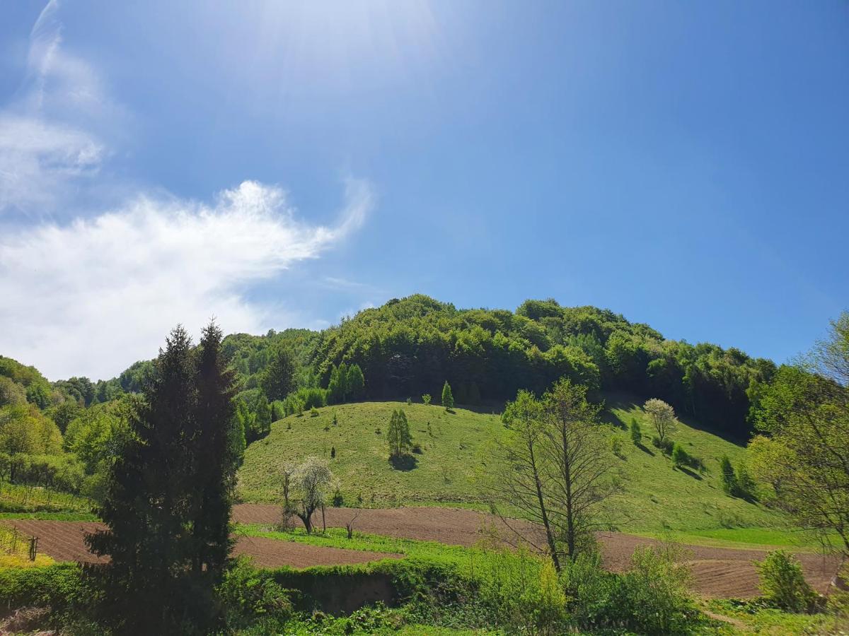 Planinsko Jutro - Brzece Centar Apartments, Kopaonik Dış mekan fotoğraf